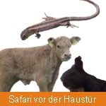 Safari vor der Haustr